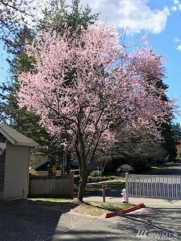 $550,000 | 7745 Northeast 122nd Lane, Kirkland, WA 98034