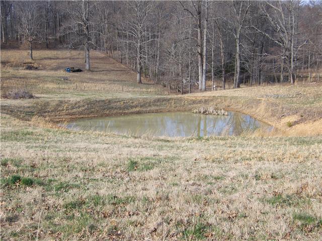287 Powell Chapel Road Pulaski, TN 38478 - Photo 9 of 10