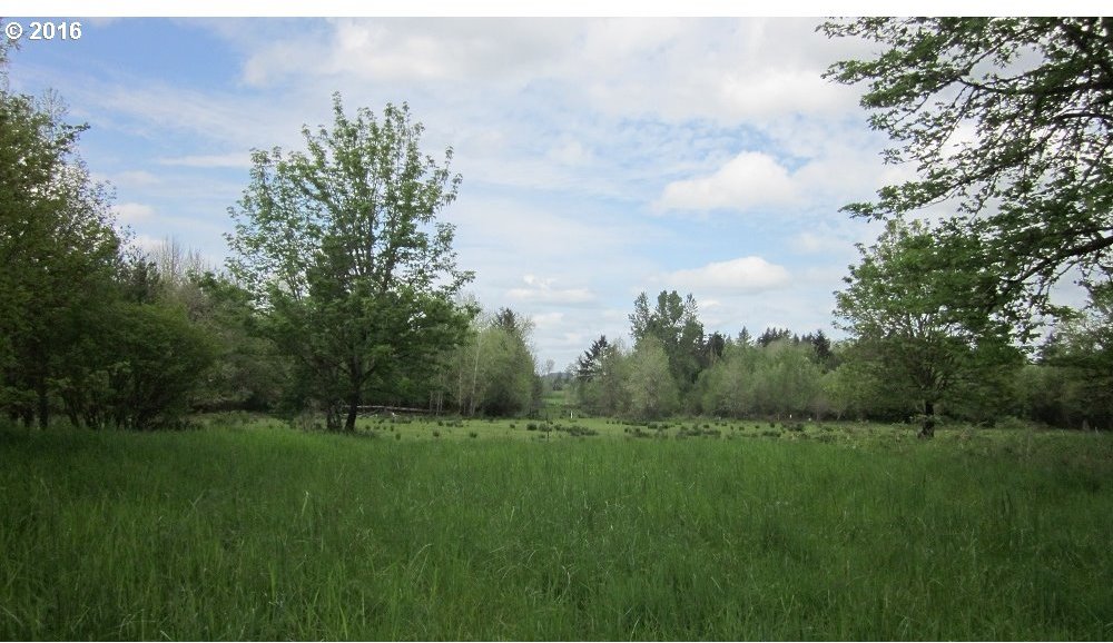 Walker Road Toledo, WA 98591 - Photo 23 of 27