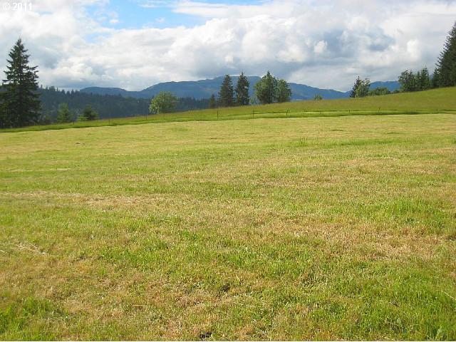 1371 Labarre Road Washougal, WA 98671 - Photo 10 of 16 Gallery Image 10