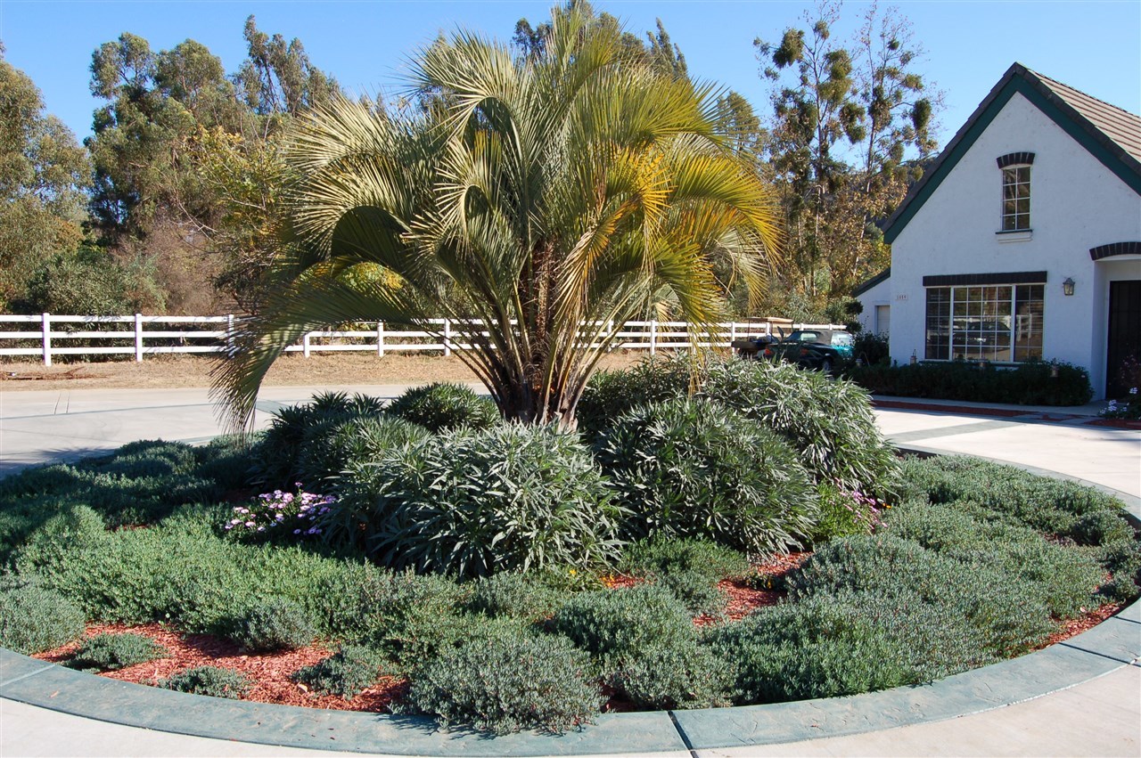 1059 Little Gopher Canyon Road Vista, CA 92084 - Photo 6 of 23