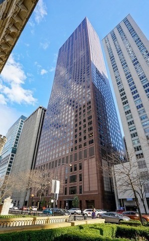 161 E Chicago Ave, Chicago, IL 60611 - Photo 2 of 15