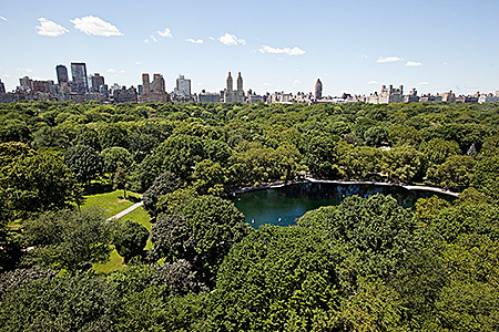 923 5th Avenue, Unit 17CD Manhattan, NY 10021 - Photo 4 of 6