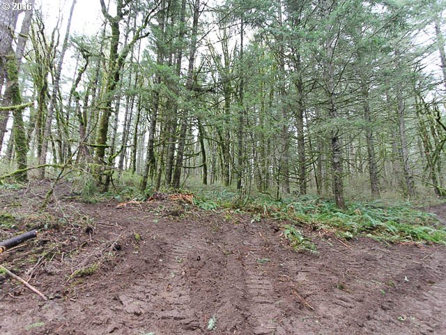 Southwest Summit Avenue Gaston, OR 97119 - Photo 2 of 12