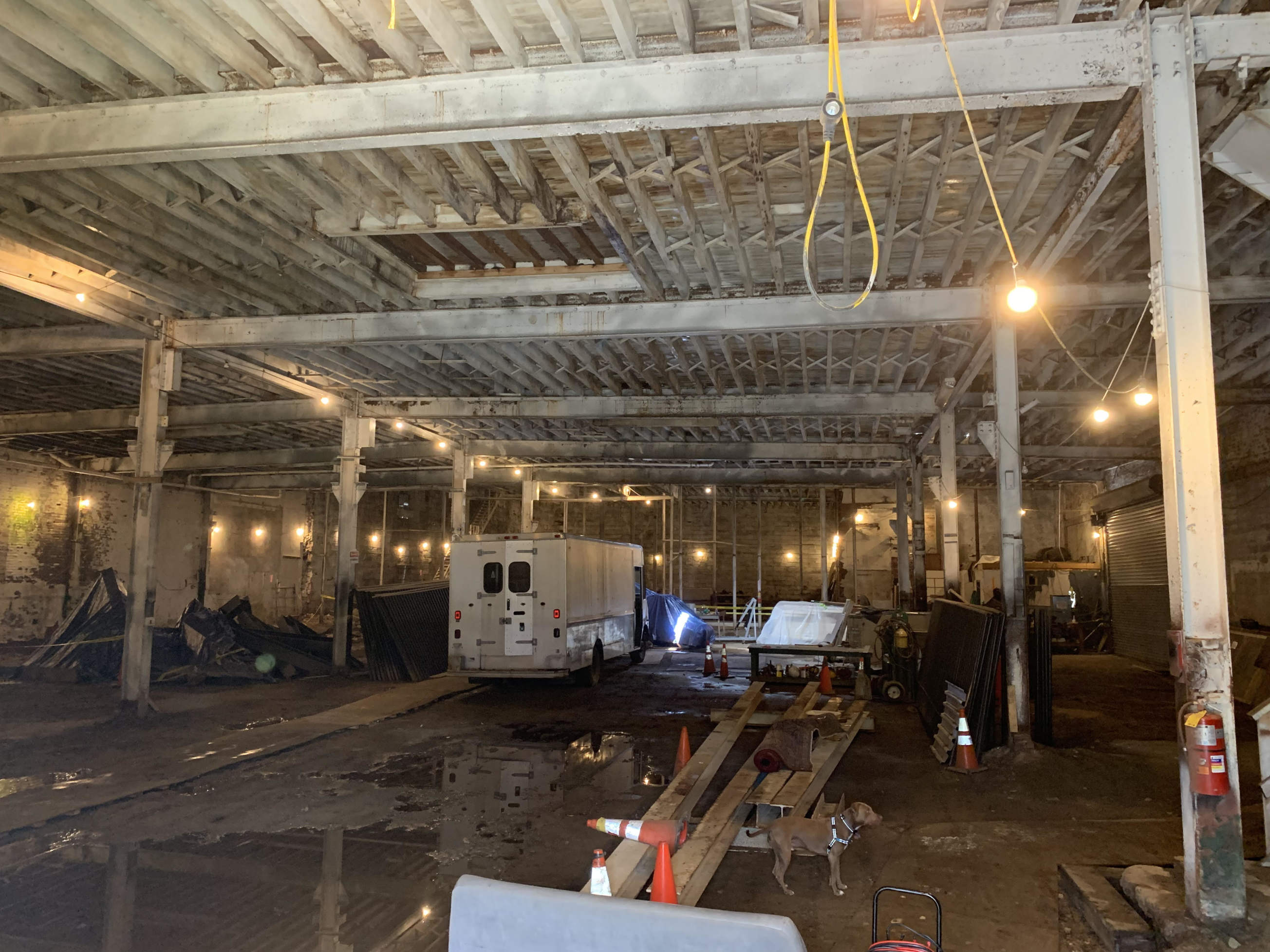 335 Moffat Street Brooklyn, NY 11237 - Photo 6 of 8