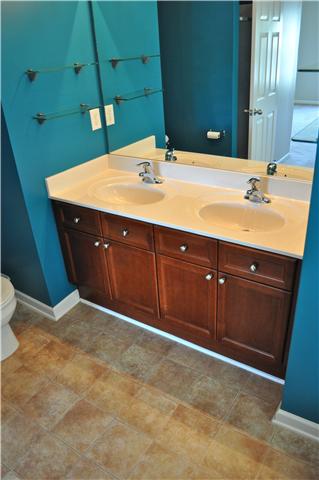 1080 Rambling Brook Road Nashville, TN 37218 - Photo 19 of 30 Double bowl sink in Master Bath
