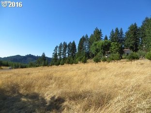 4900 Scotts Valley Road Yoncalla, OR 97499 - Photo 20 of 30