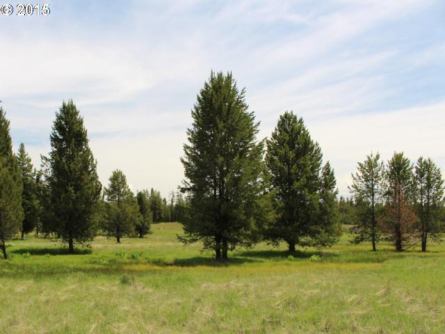 Cold Springs Road Imnaha, OR 97842 - Photo 1 of 1 Gallery Image 1