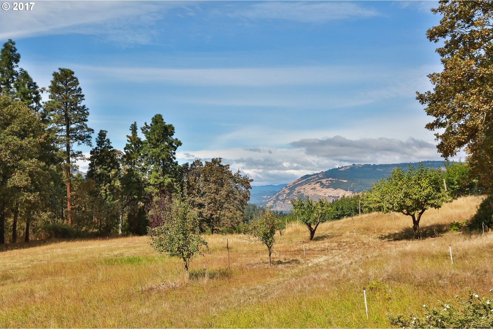 1235 Dry Creek Road Mosier, OR 97040 - Photo 14 of 27 Gallery Image 14