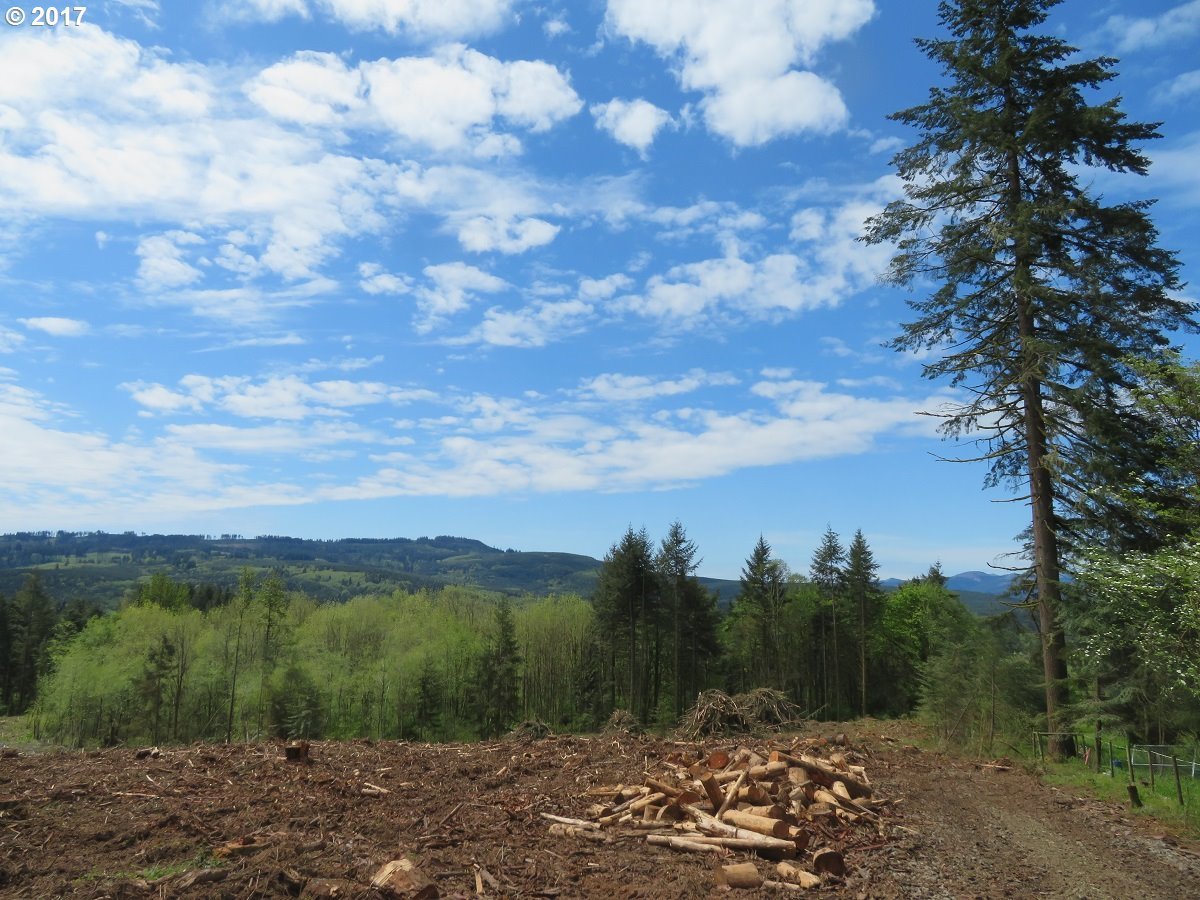 South Military Road Winlock, WA 98596 - Photo 26 of 26