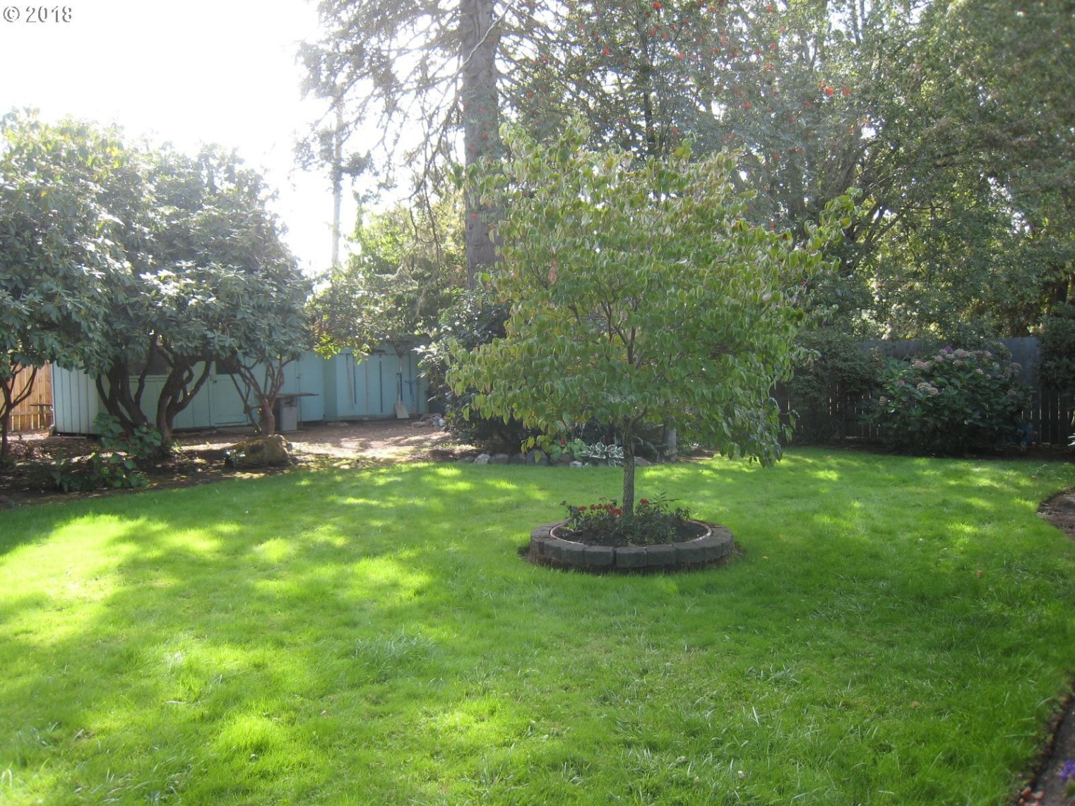 615 Hayden Bridge Way Springfield, OR 97477 - Photo 16 of 19