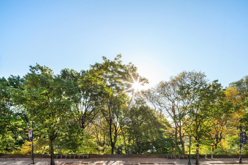 151 Central Park West, Unit 2C Manhattan, NY 10023 - Photo 15 of 18