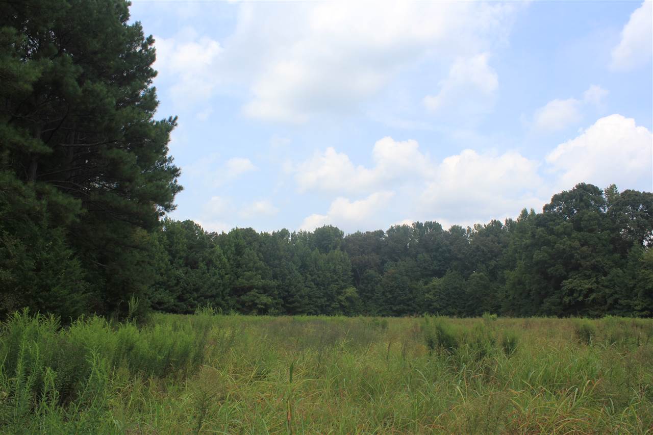 0 Robert Ford Road Waterford, MS 38685 - Photo 17 of 25