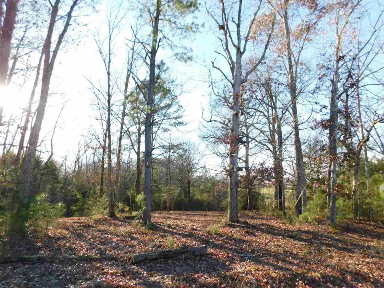 7 Caney Branch Road Adamsville, TN 38310 - Photo 16 of 17 Gallery Image 16