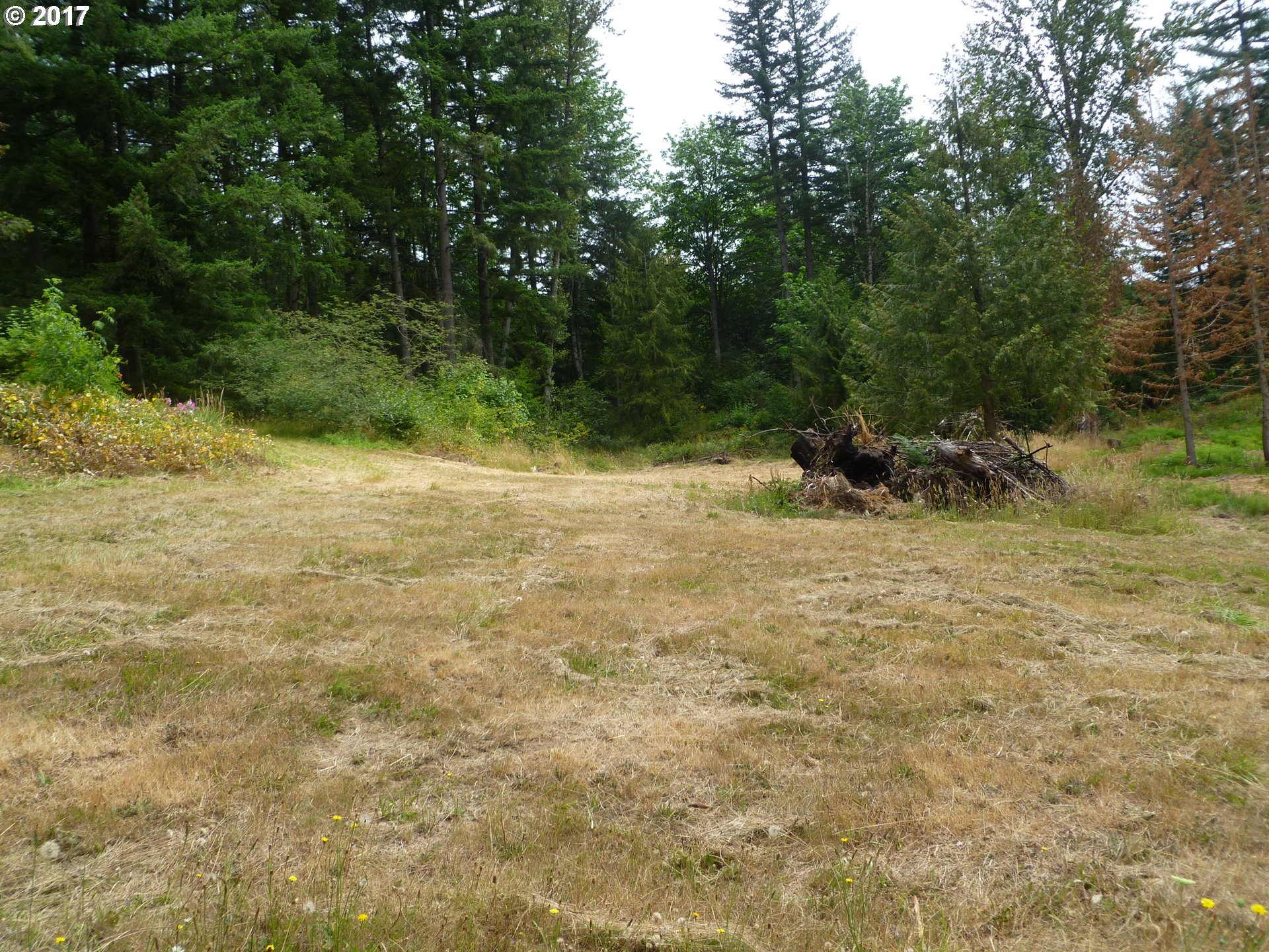 39321 Southeast Fall Creek Road Estacada, OR 97023 - Photo 16 of 22 Gallery Image 16