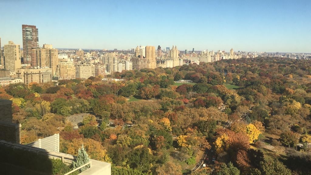 106 Central Park South, Unit 33A Manhattan, NY 10019 - Photo 15 of 17