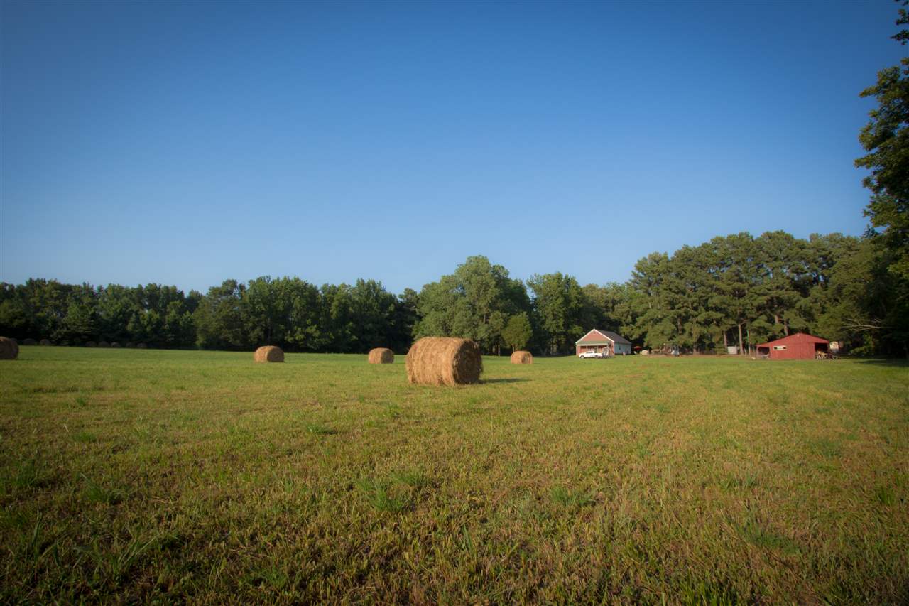 9261 Quito Road Millington, TN 38053 - Photo 7 of 25 Gallery Image 7