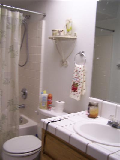 4515 Oregano Road Bakersfield, CA 93313 - Photo 5 of 8 Guest bathroom