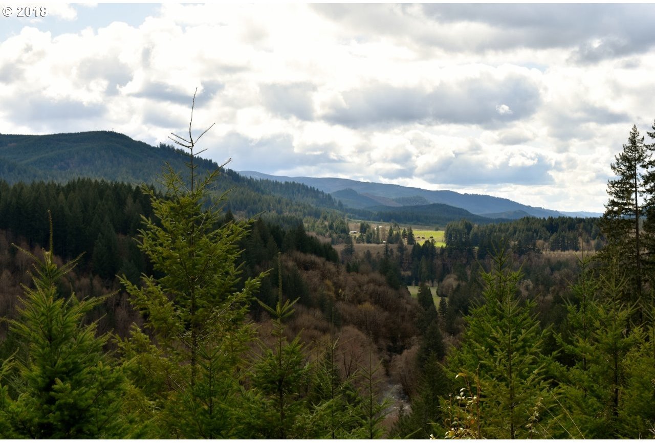 Sun Ranch Road Vida, OR 97488 - Photo 23 of 32 Gallery Image 23