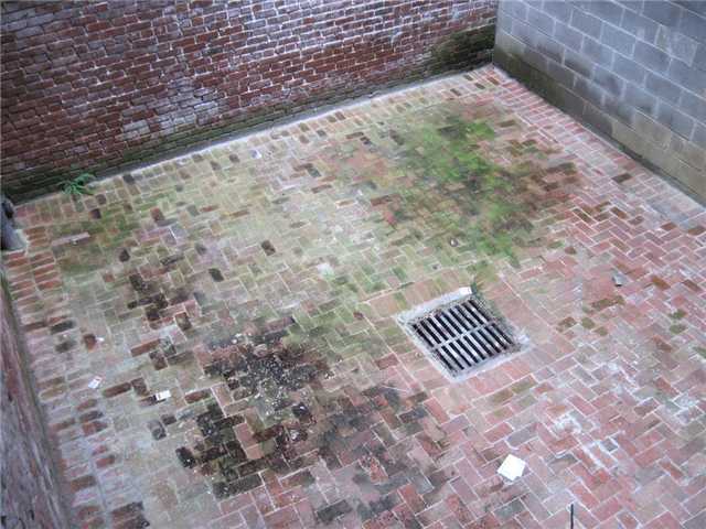 91 South Front Street, Unit 1 Memphis, TN 38103 - Photo 9 of 12