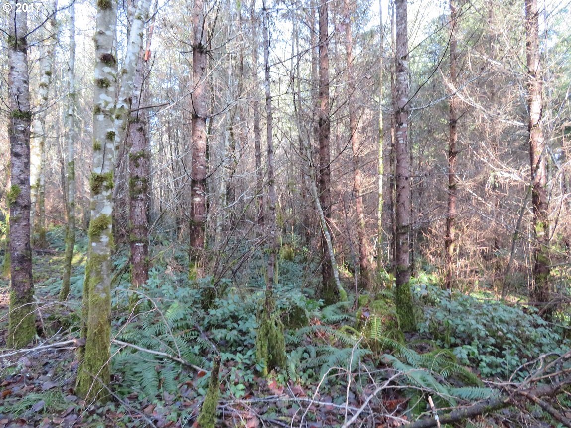 Cousins Road, Unit 3 Chehalis, WA 98532 - Photo 30 of 32