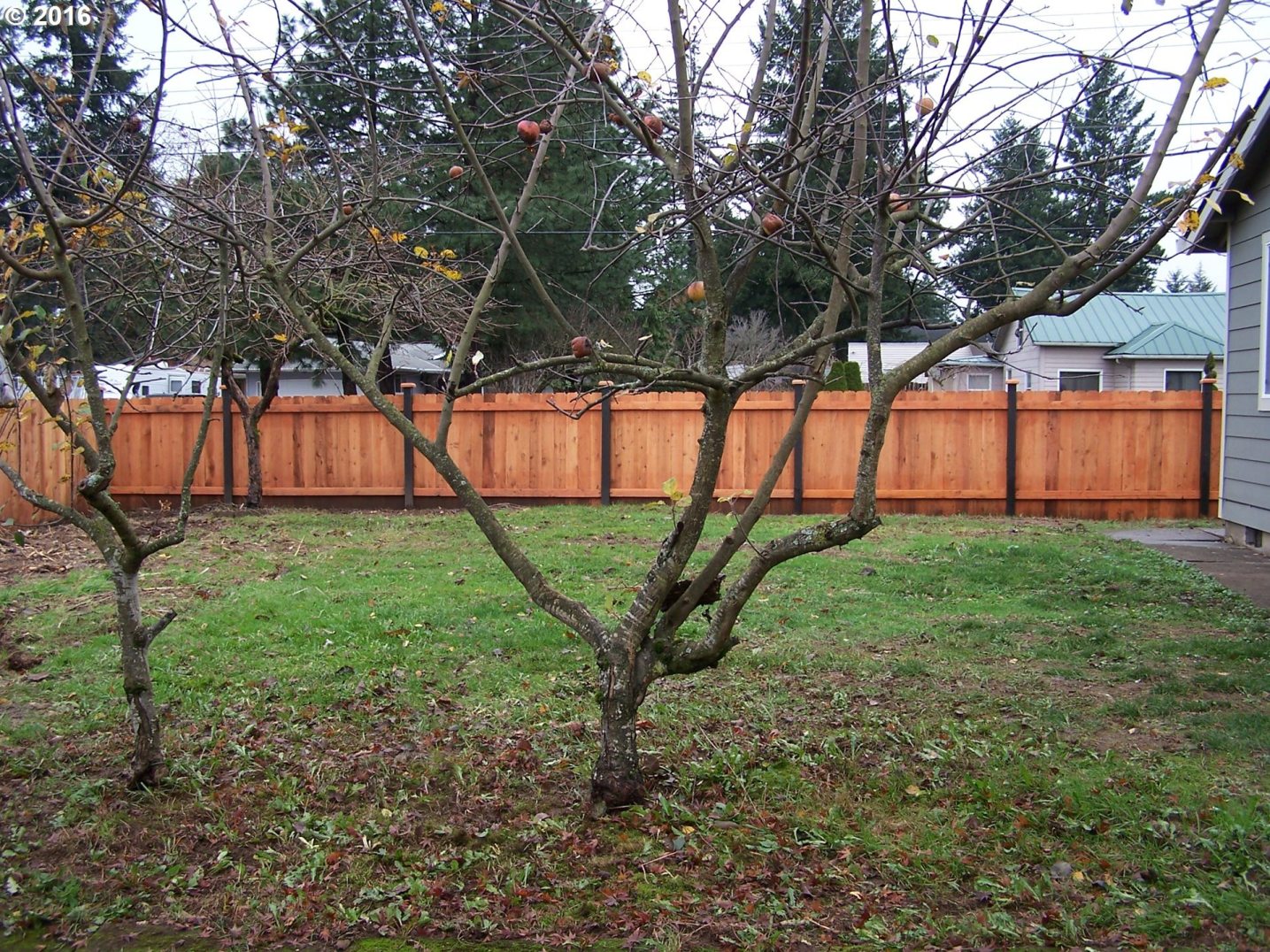 14806 Southeast Main Street Portland, OR 97233 - Photo 21 of 25