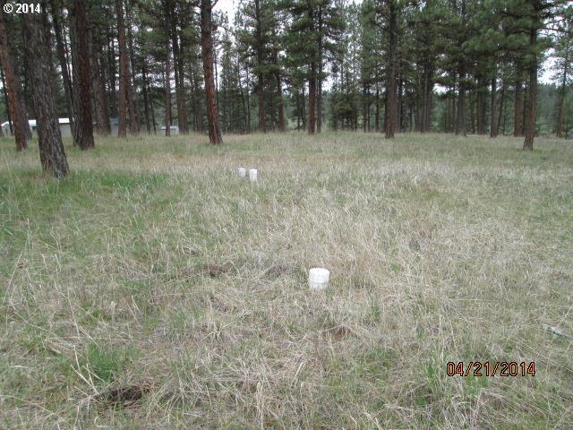 58521 Flevious Road La Grande, OR 97850 - Photo 2 of 5 Gallery Image 2