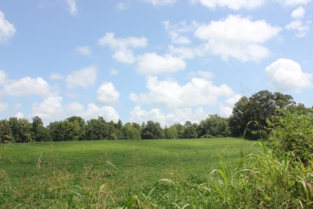 6333 Asbury Glimp Road Ripley, TN 38063 - Photo 2 of 6
