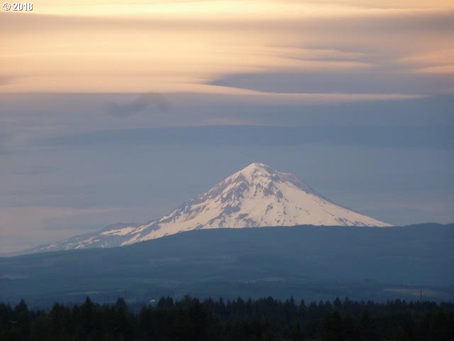 23622 South Fellows Road Beavercreek, OR 97004 - Photo 1 of 32 Gallery Image 1