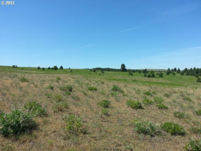 Schilling Road, Unit 113 Lyle, WA 98635 - Photo 4 of 14 Gallery Image 4