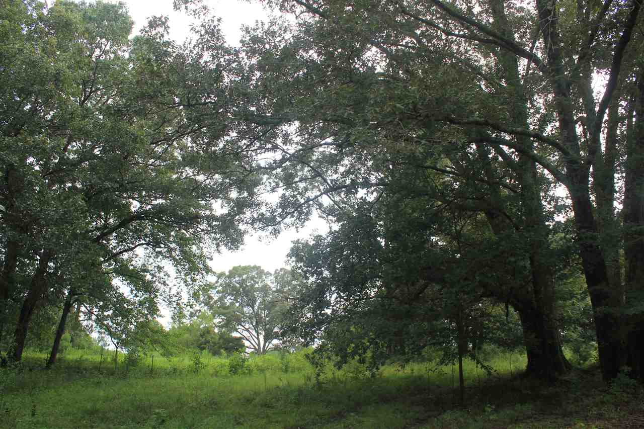 1000 Strickland Road Byhalia, MS 38611 - Photo 14 of 25 Gallery Image 14