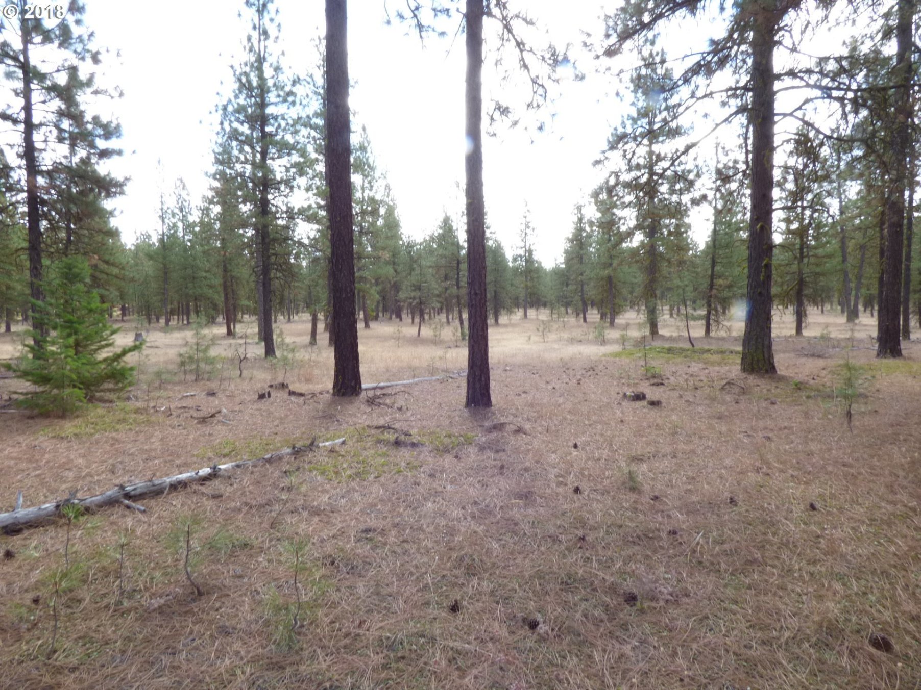 Browns Road, Unit 16 Goldendale, WA 98620 - Photo 16 of 19 Gallery Image 16