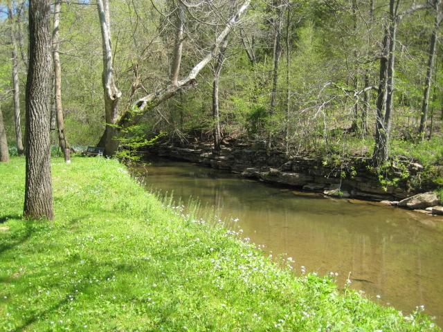 6233 Red River School Road Portland, TN 37148 - Photo 23 of 30 This creek (Summers Branch) is fabulous for BBQ's and family picnics.