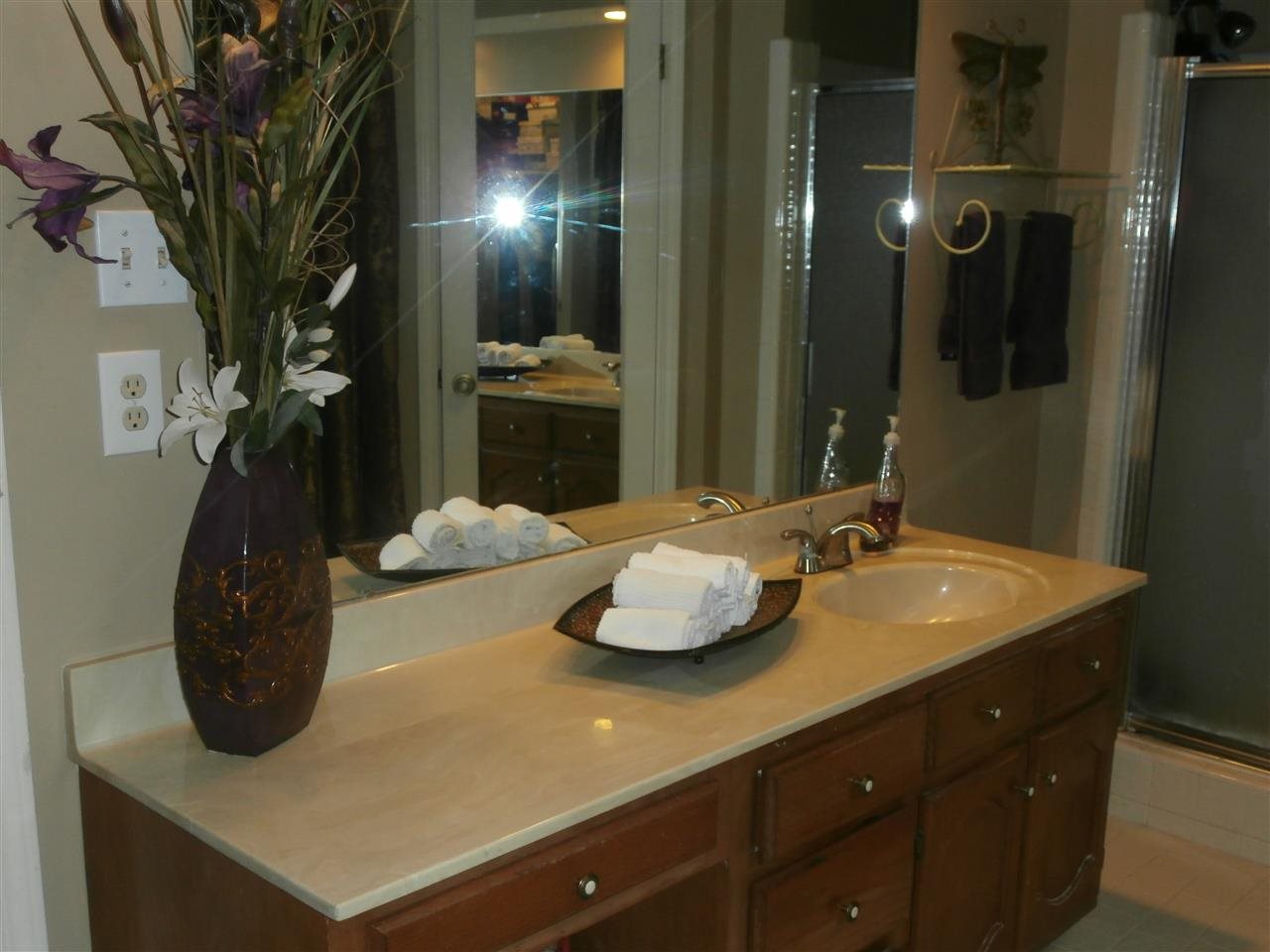 8474 Dulwich Road Memphis, TN 38016 - Photo 12 of 24 Oversized Vanity, walk-in closet, separate shower and tub