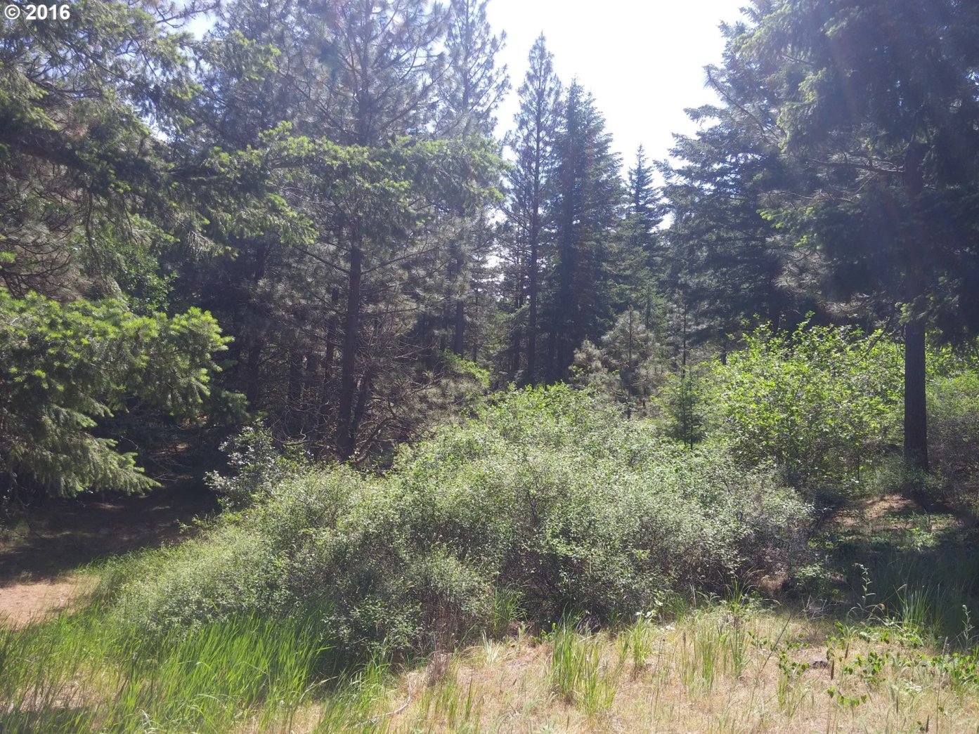 Oak Gulch Road Centerville, WA 98613 - Photo 2 of 7 Gallery Image 2