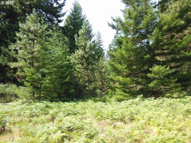 24 Strong Road Trout Lake, WA 98650 - Photo 1 of 10 Gallery Image 1