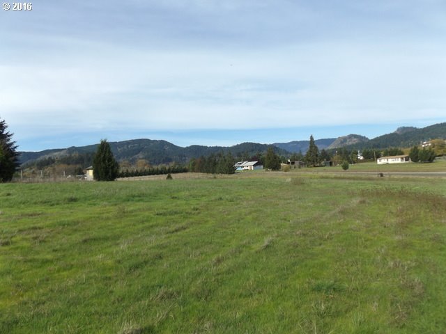 444 Reston Road Tenmile, OR 97481 - Photo 28 of 32