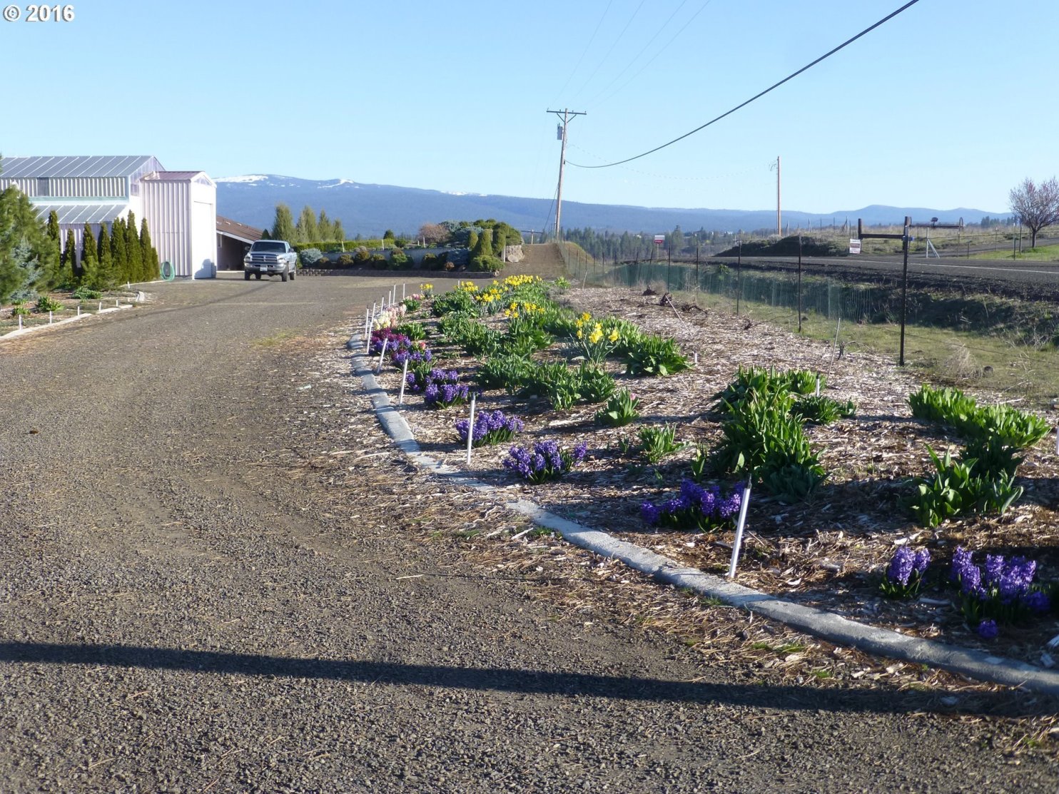17 Clyde Story Road Goldendale, WA 98620 - Photo 31 of 31 Gallery Image 31