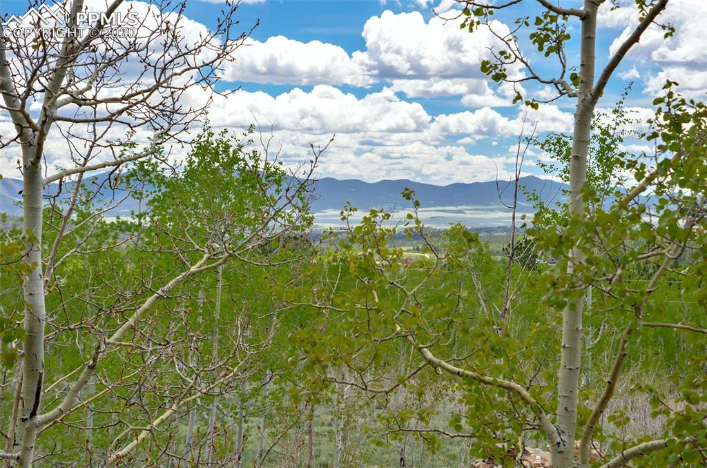 259 Falcon Road Como, CO 80432 - Photo 5 of 40