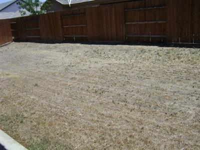 3119 Crescent Ridge Street Bakersfield, CA 93313 - Photo 16 of 17 Gallery Image 16