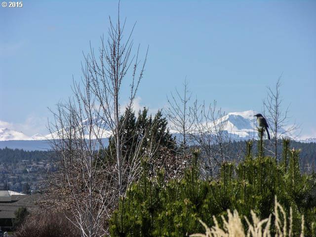 3083 Yellow Ribbon Drive Bend, OR 97701 - Photo 15 of 16