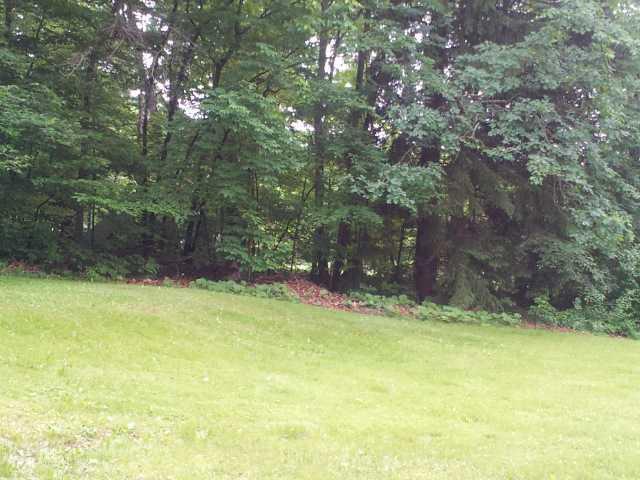 388 Sleepy Hollow Road Indiana, PA 15701 - Photo 7 of 23