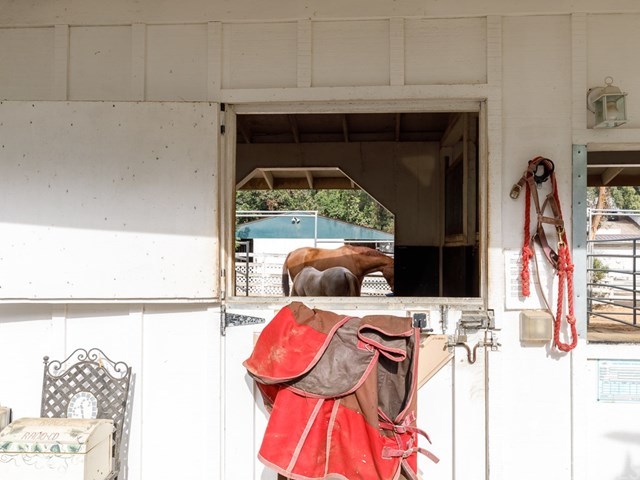 6 Dapplegray Lane Rolling Hills Estates, CA 90274 - Photo 39 of 53