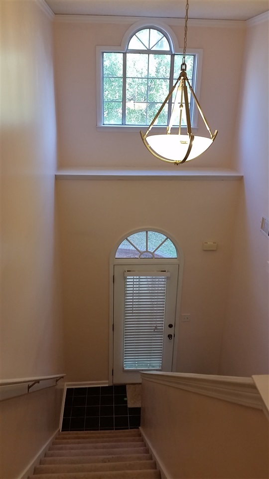 8610 Brer Rabbit Cove Cordova, TN 38018 - Photo 5 of 25 Gallery Image 5