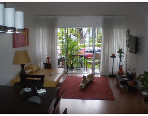520 Northeast 38th Street, Unit 9 Miami, FL 33137 - Photo 2 of 10
