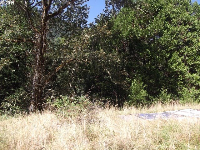 1471 Spring Brook Road Myrtle Creek, OR 97457 - Photo 1 of 5