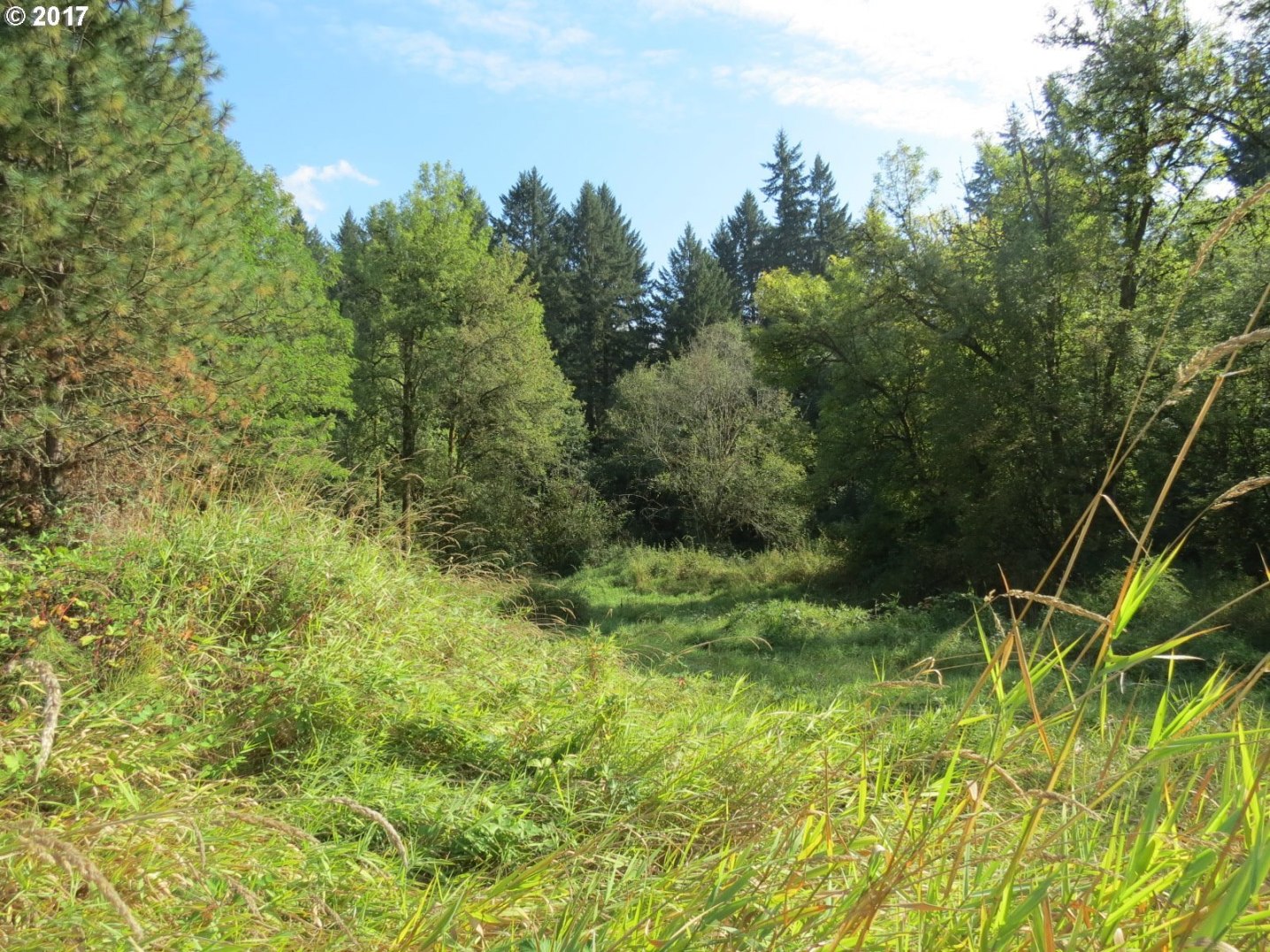12298 Donald Road Northeast Aurora, OR 97002 - Photo 5 of 21 Gallery Image 5