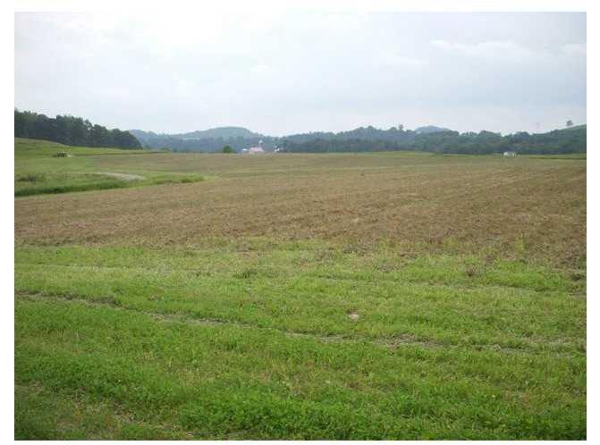 0 Wilson Road Worthington, PA 16262 - Photo 3 of 9