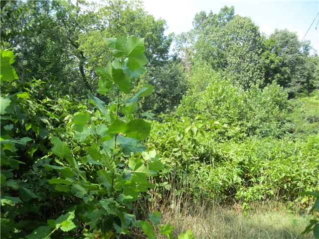 2125 Sanders Road Clarksville, TN 37043 - Photo 2 of 13 Gallery Image 2