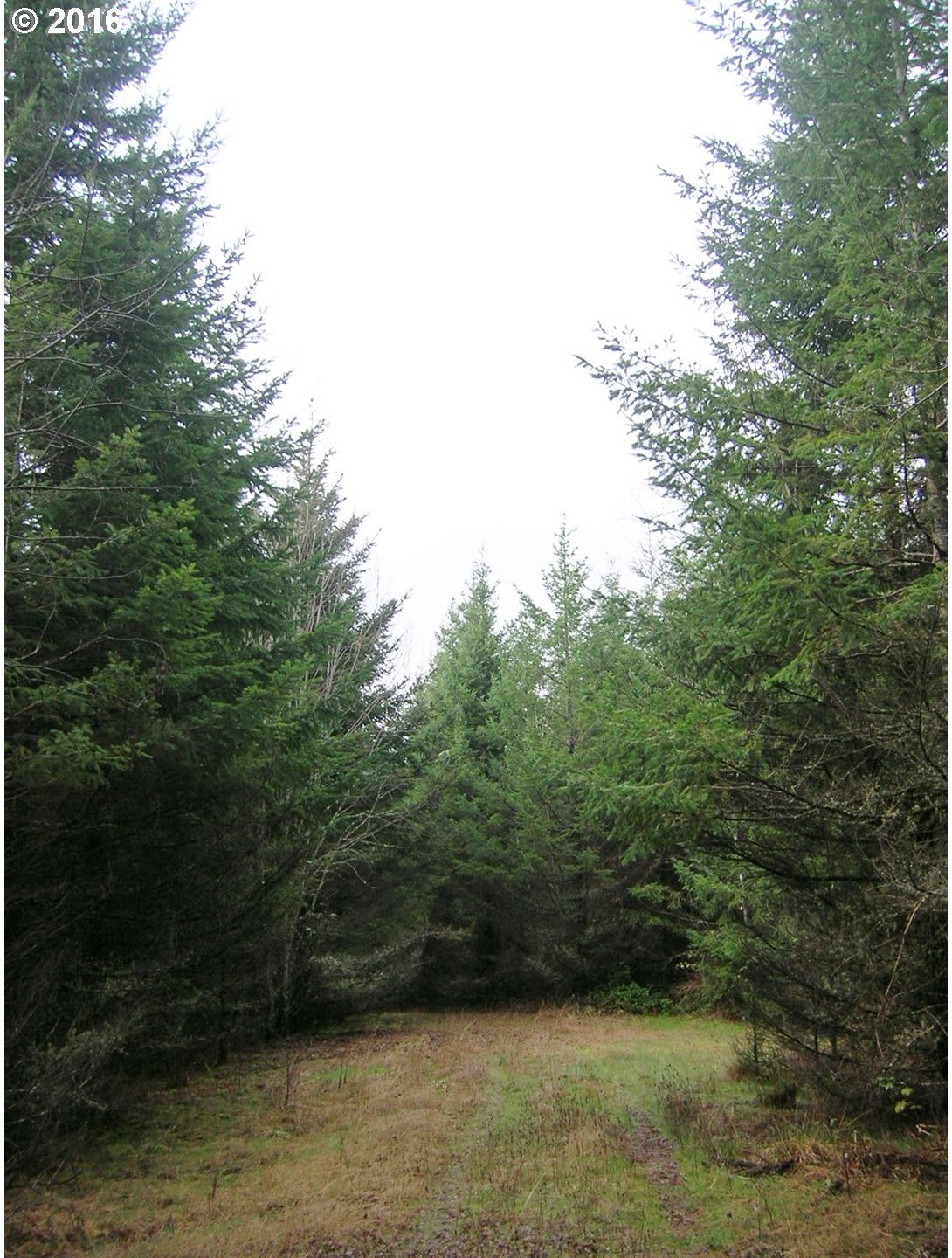 Northwest Murphy Road North Plains, OR 97133 - Photo 3 of 9 Gallery Image 3